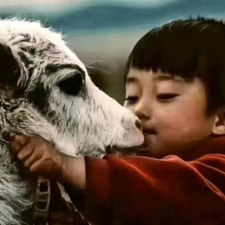 ༒࿇林芝罗哥࿇༒🐔