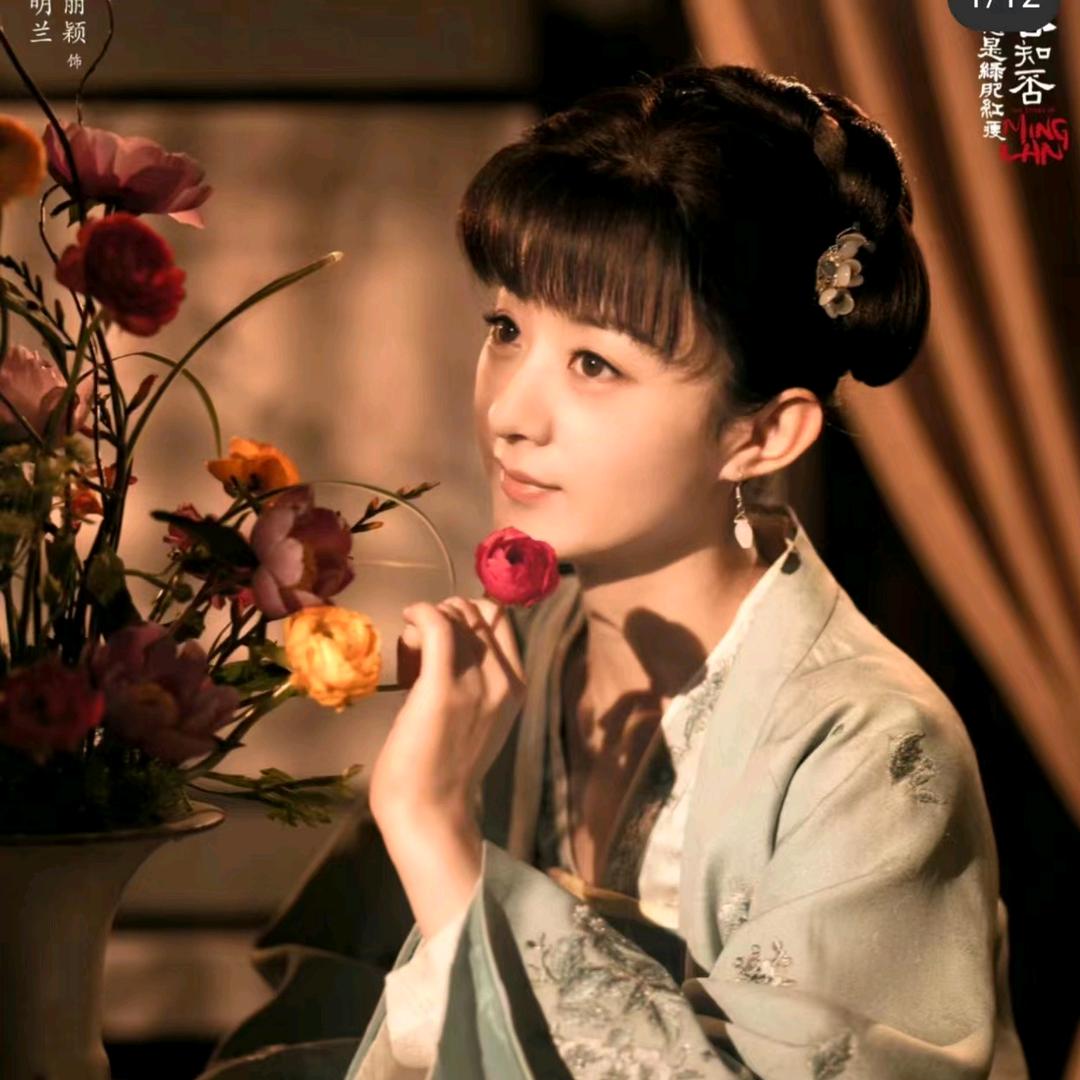 杨姐《1》