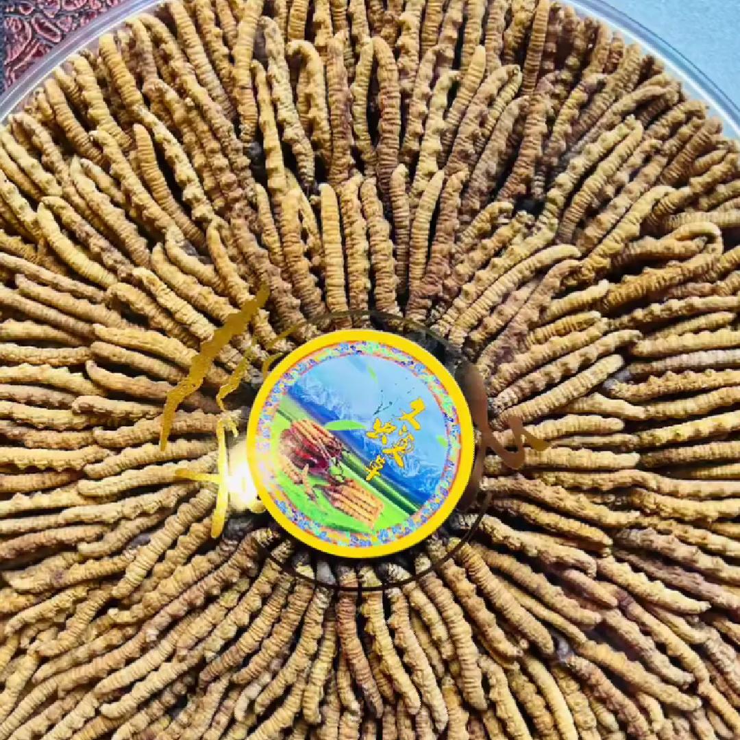 邓玛翁召