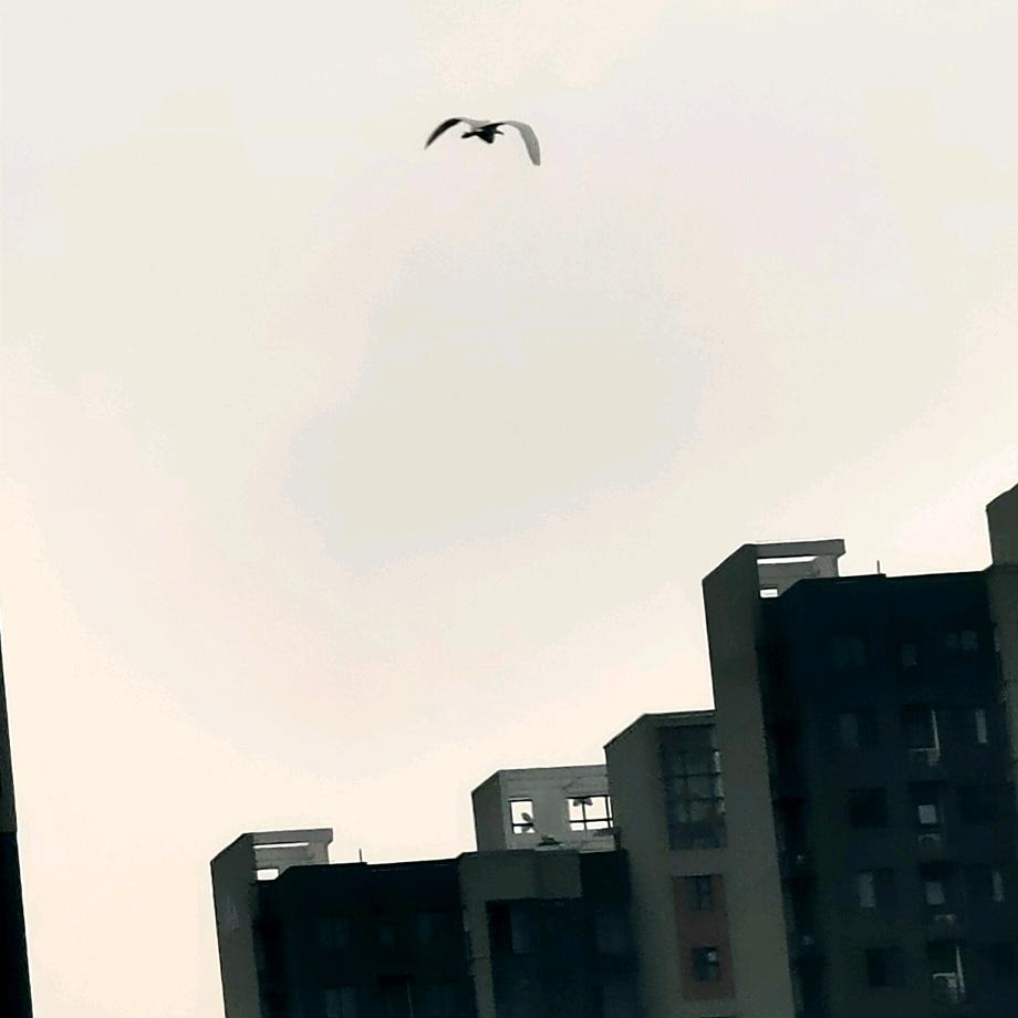 小王👿