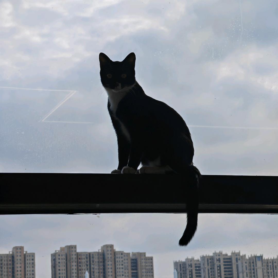 钮祜禄.铁柱