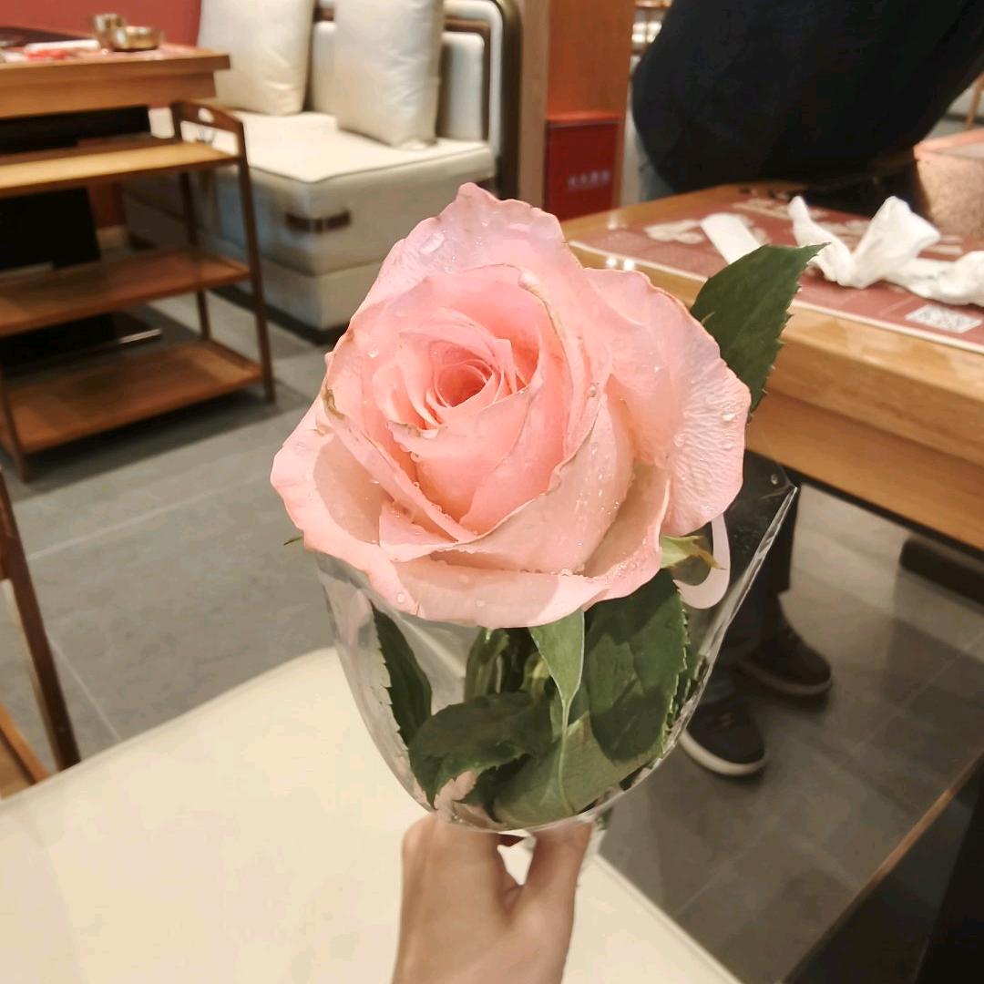 珍惜( ͡° ͜ʖ ͡°)（拒私聊）