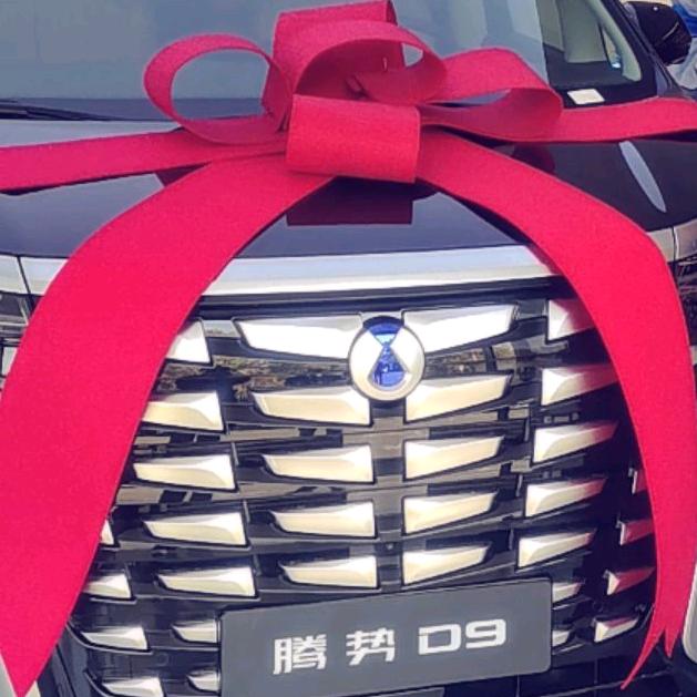 @王先生的大玩具腾势 D9 商务