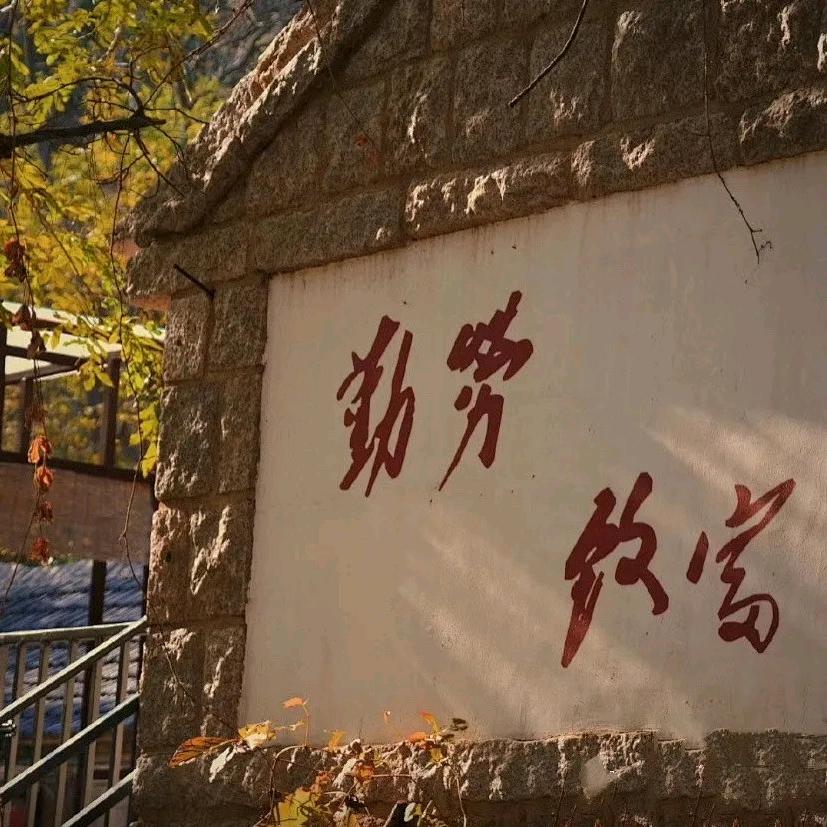嘿 喂🌻🌻