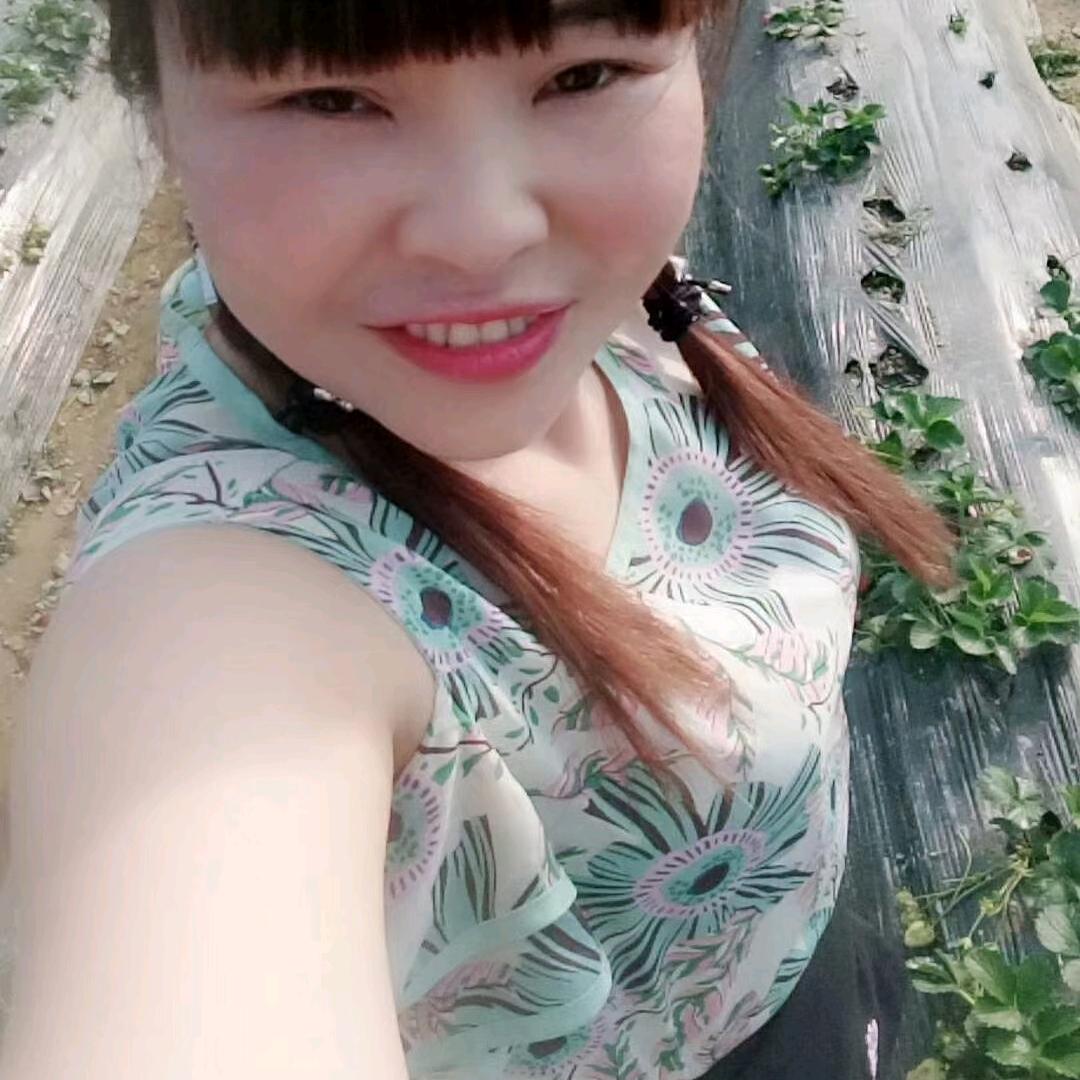 何家四姑娘