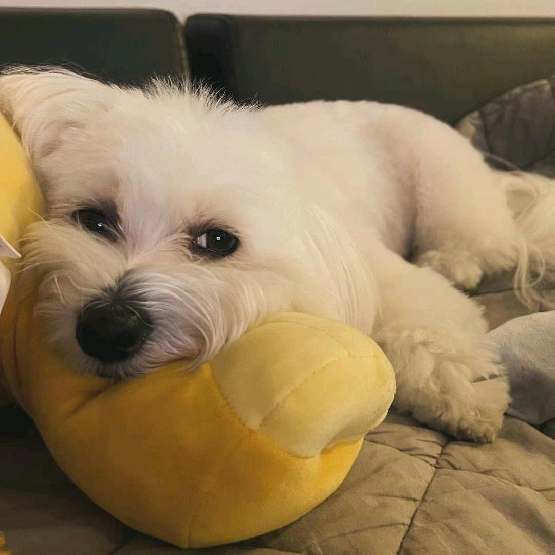 BOO_喝冰美式ㅜㅜ