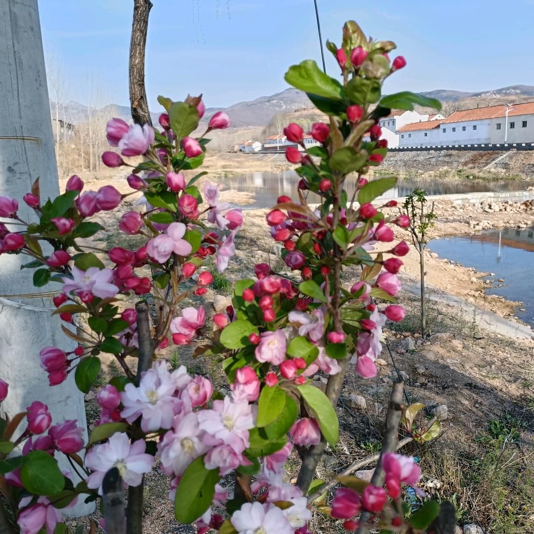 正宗沂山百货超市