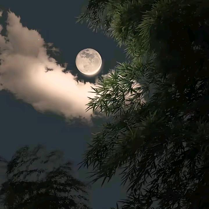 ღ᭄李52ꦿ꯭0꧔ꦿ᭄