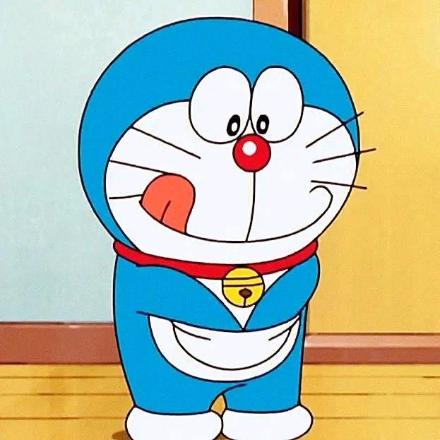 SXT-林林🐇