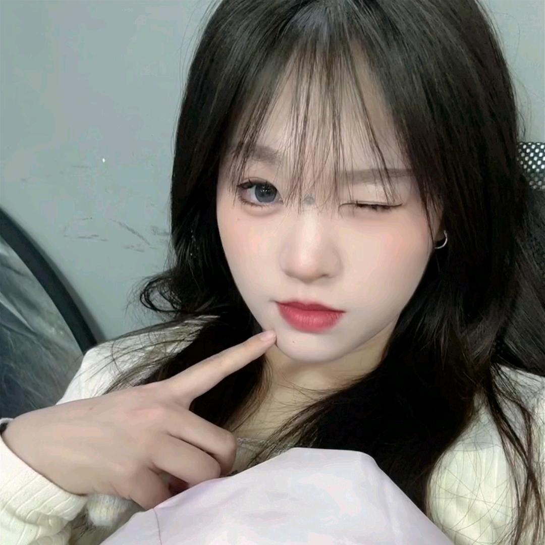 嘤熊连萌(๑><๑)