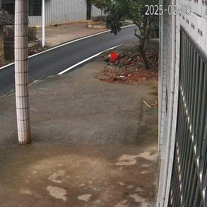 发展鸿图