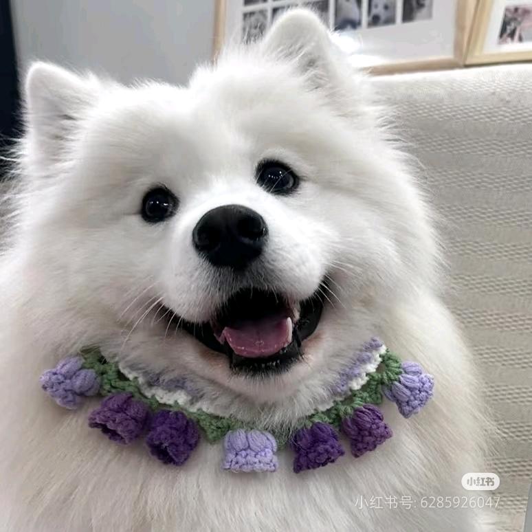 怡宝啊🧸