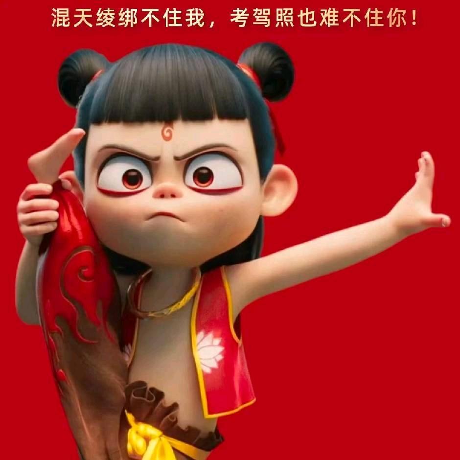 懂车鹿学车王老师