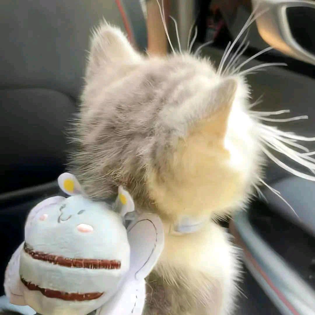 A̶ɴ̶ɢ̶ʟ̶ᴇ̶ʀ̶.