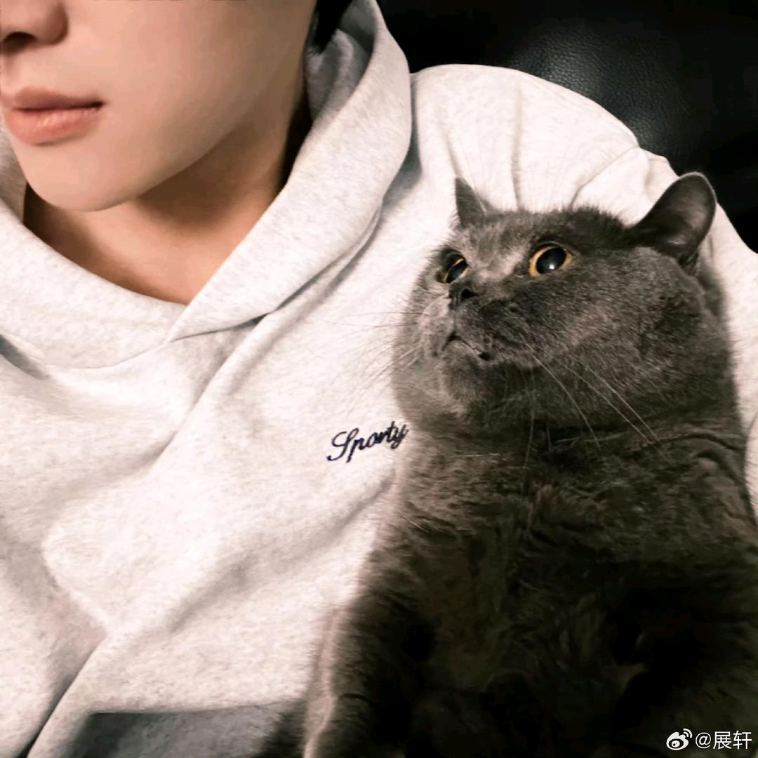 lllllz