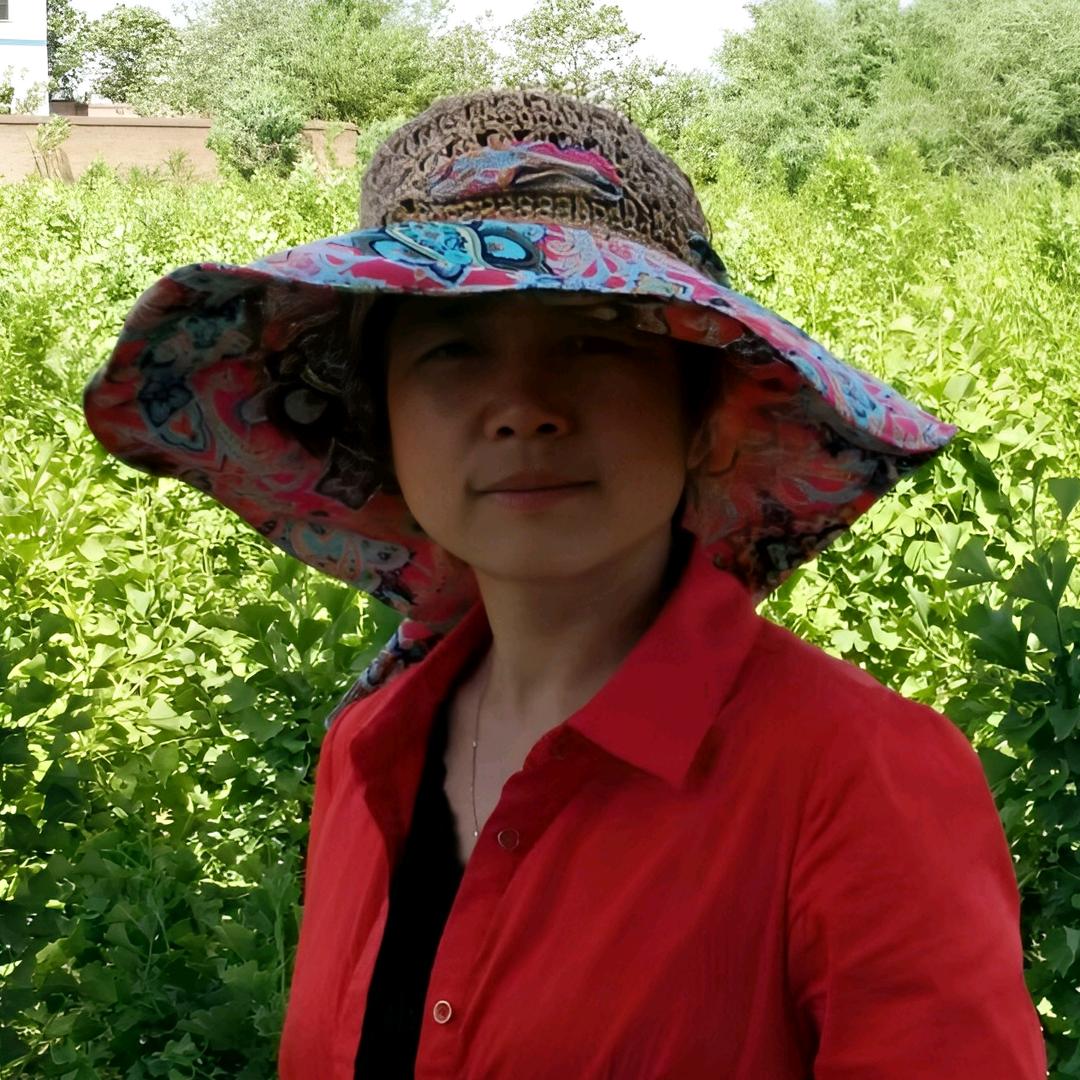 银杏叶鸥姐（十年专注）