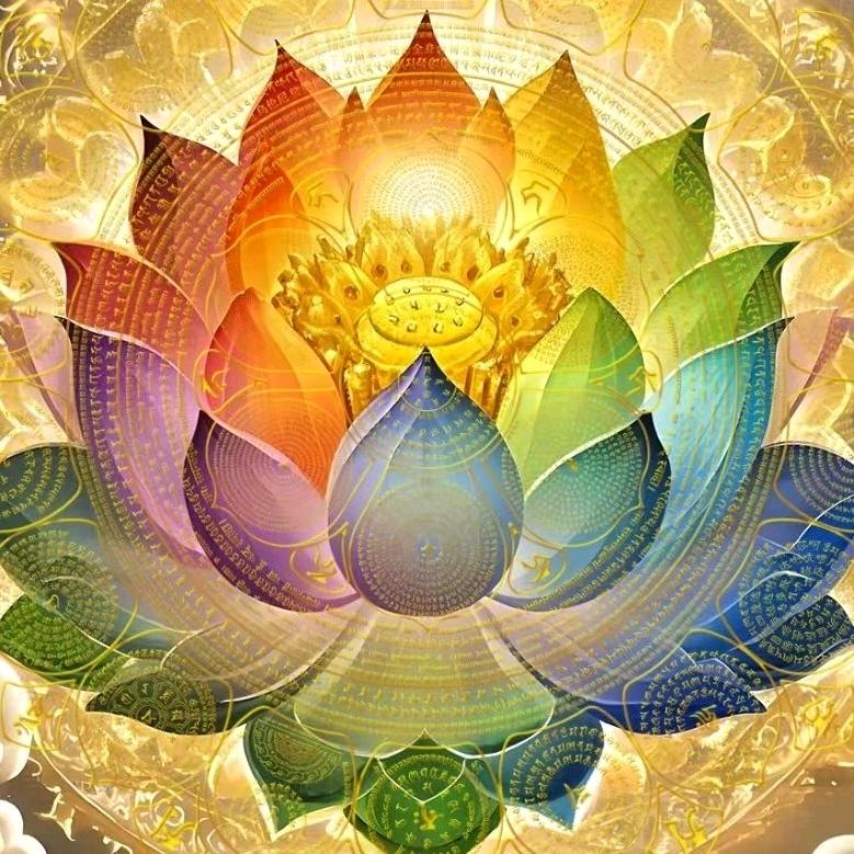 迟善✺◟(∗❛ัᴗ❛ั∗)◞✺