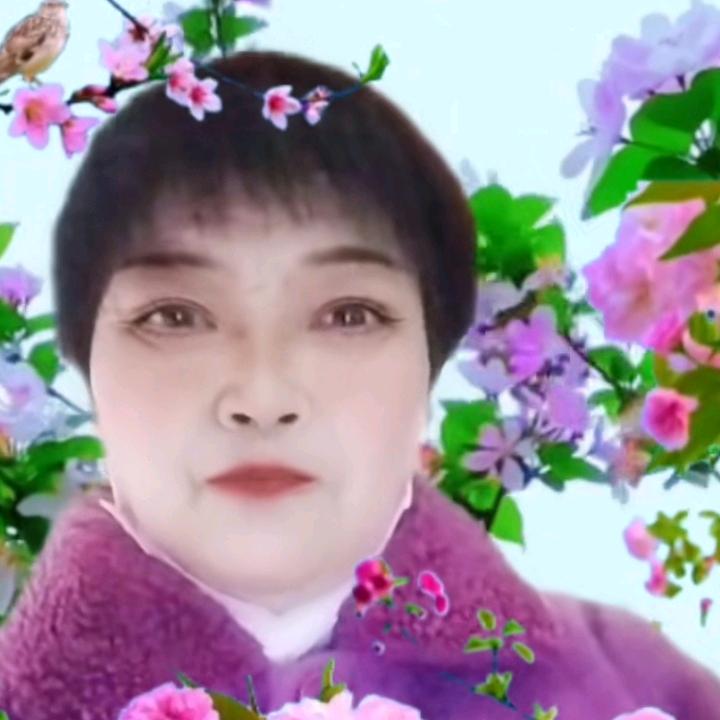 你若盛开，清风自来👼