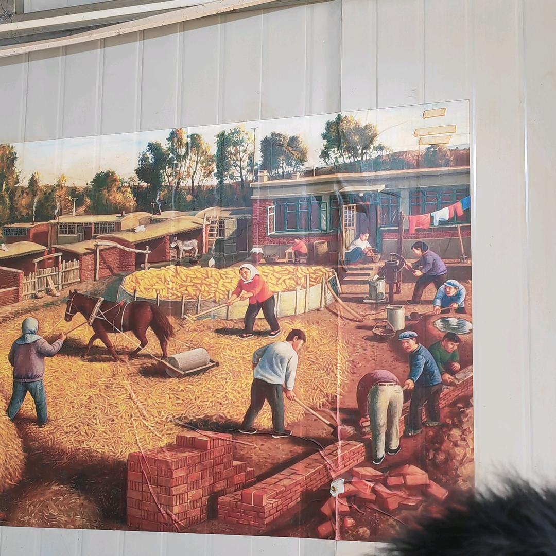 萝卜回收在天空翱翔