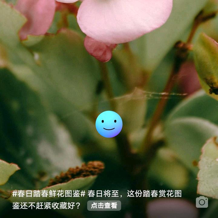 平安家人