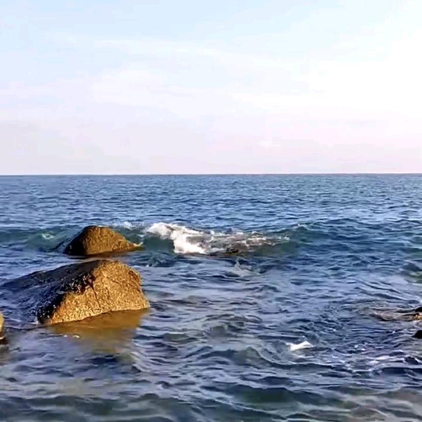 叶子姐姐(小号)