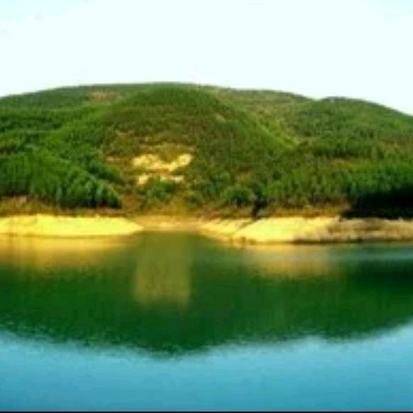 山东大老肥