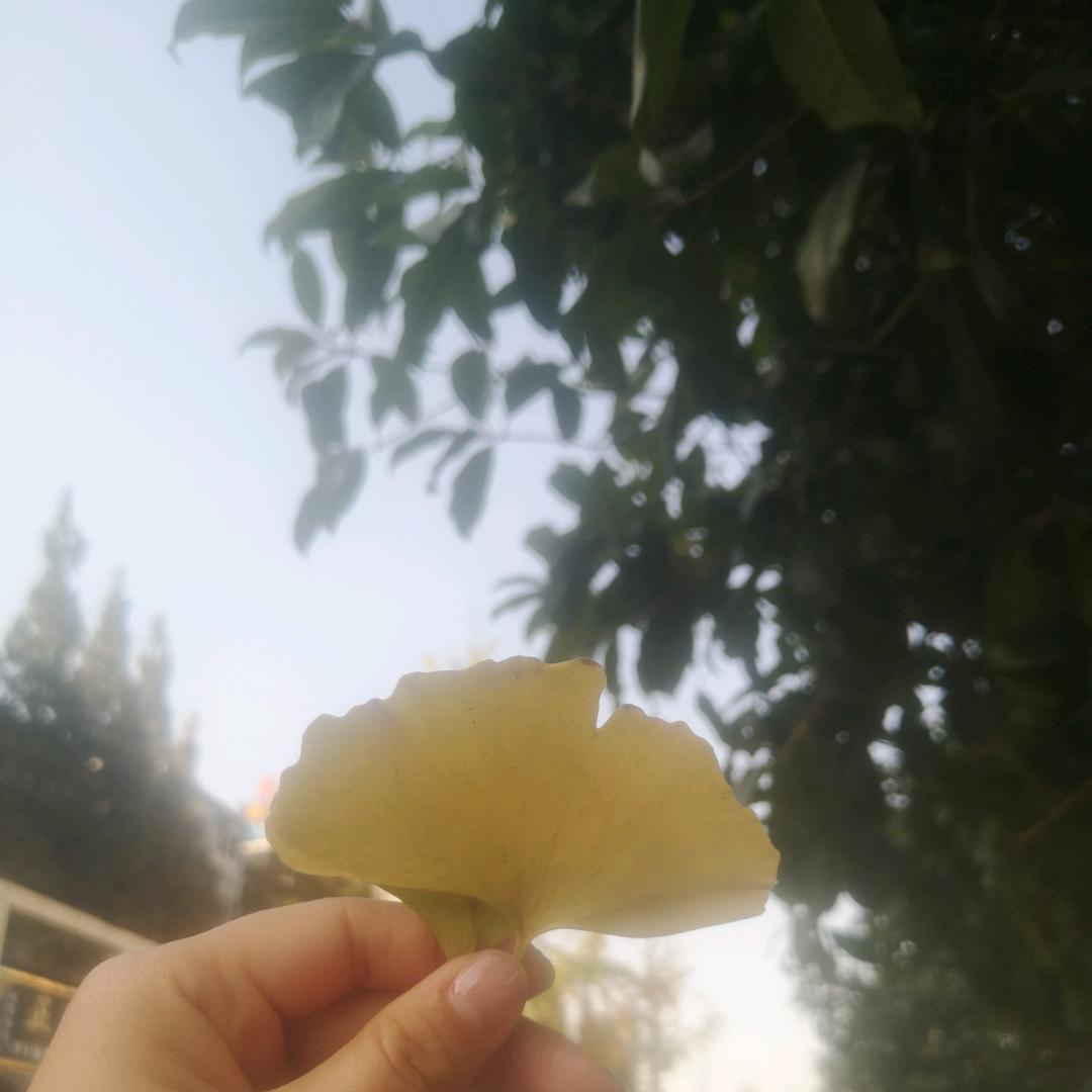 不期而遇的美
