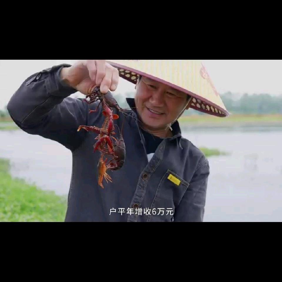全国养虾工匠胡关羽