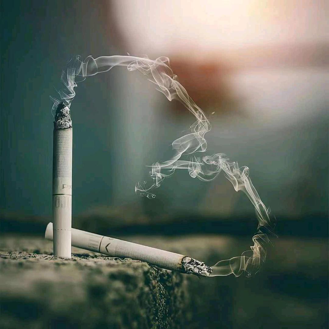 毛尖加牛奶头像