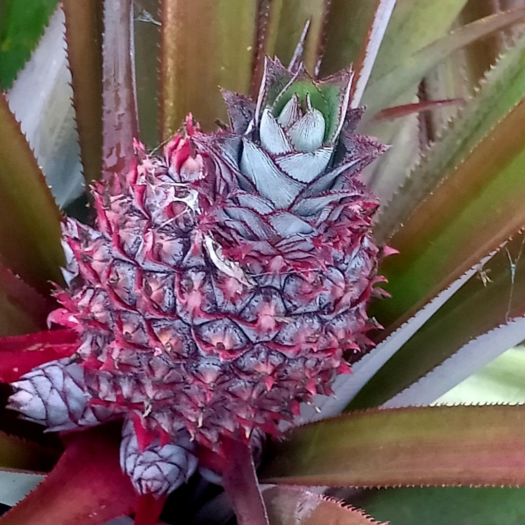 🌻我💞爱💞你