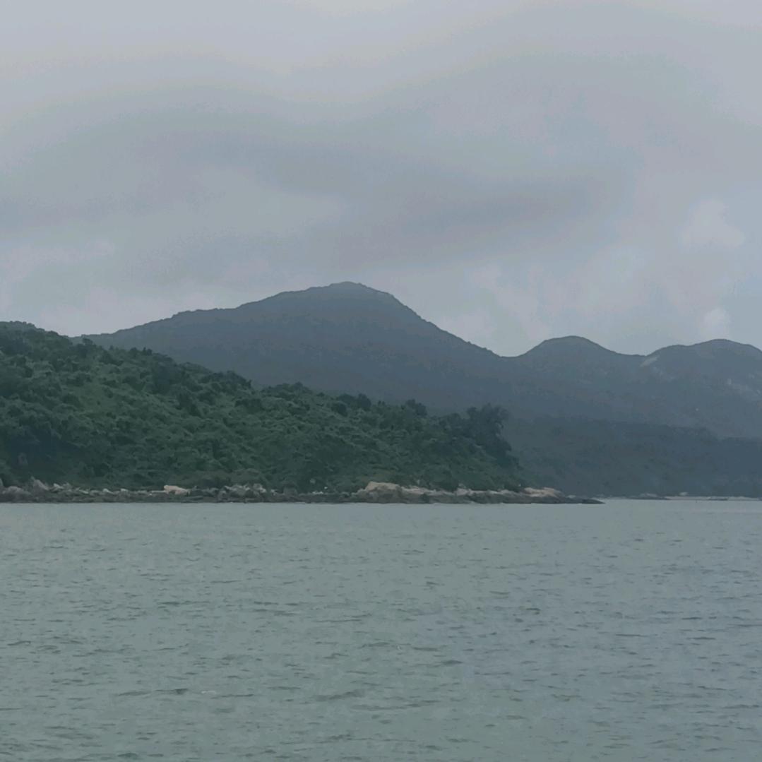 伟仔