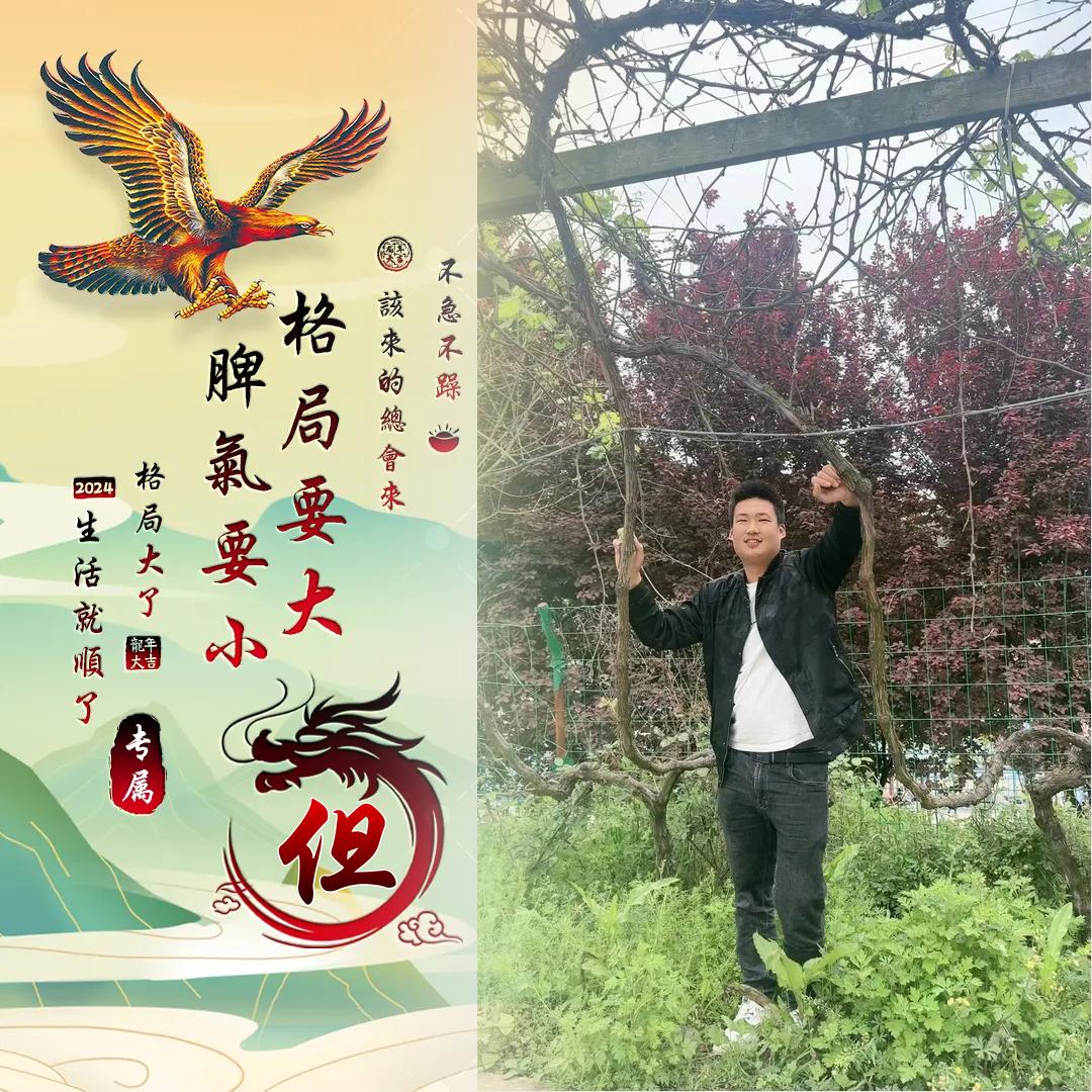 但家旺云南甘蔗，广西甘蔗