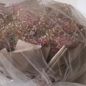 陈先生的😘陈太太