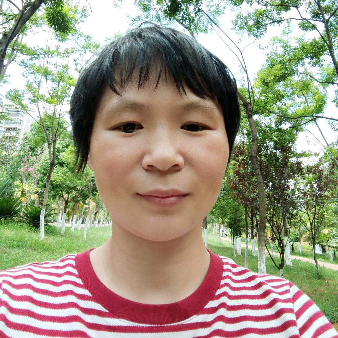 飞燕优选