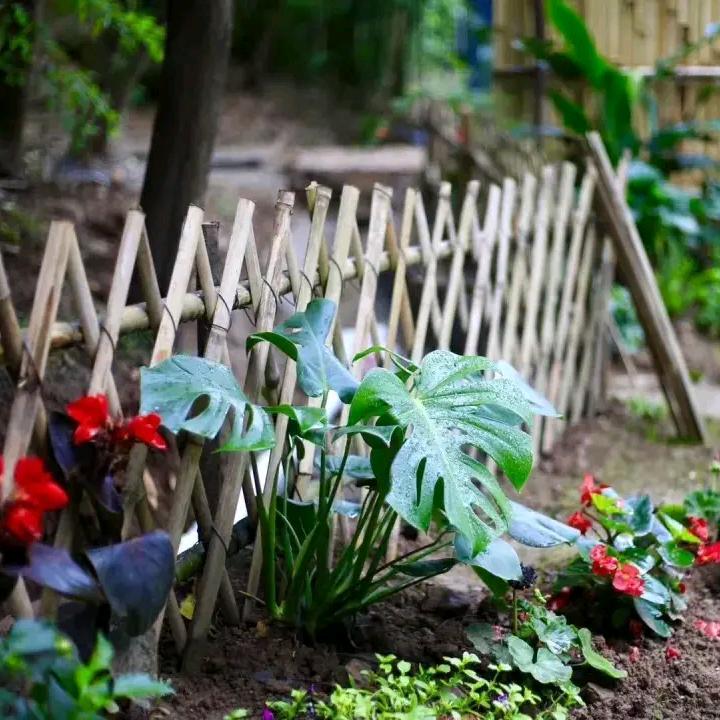 悠然花间