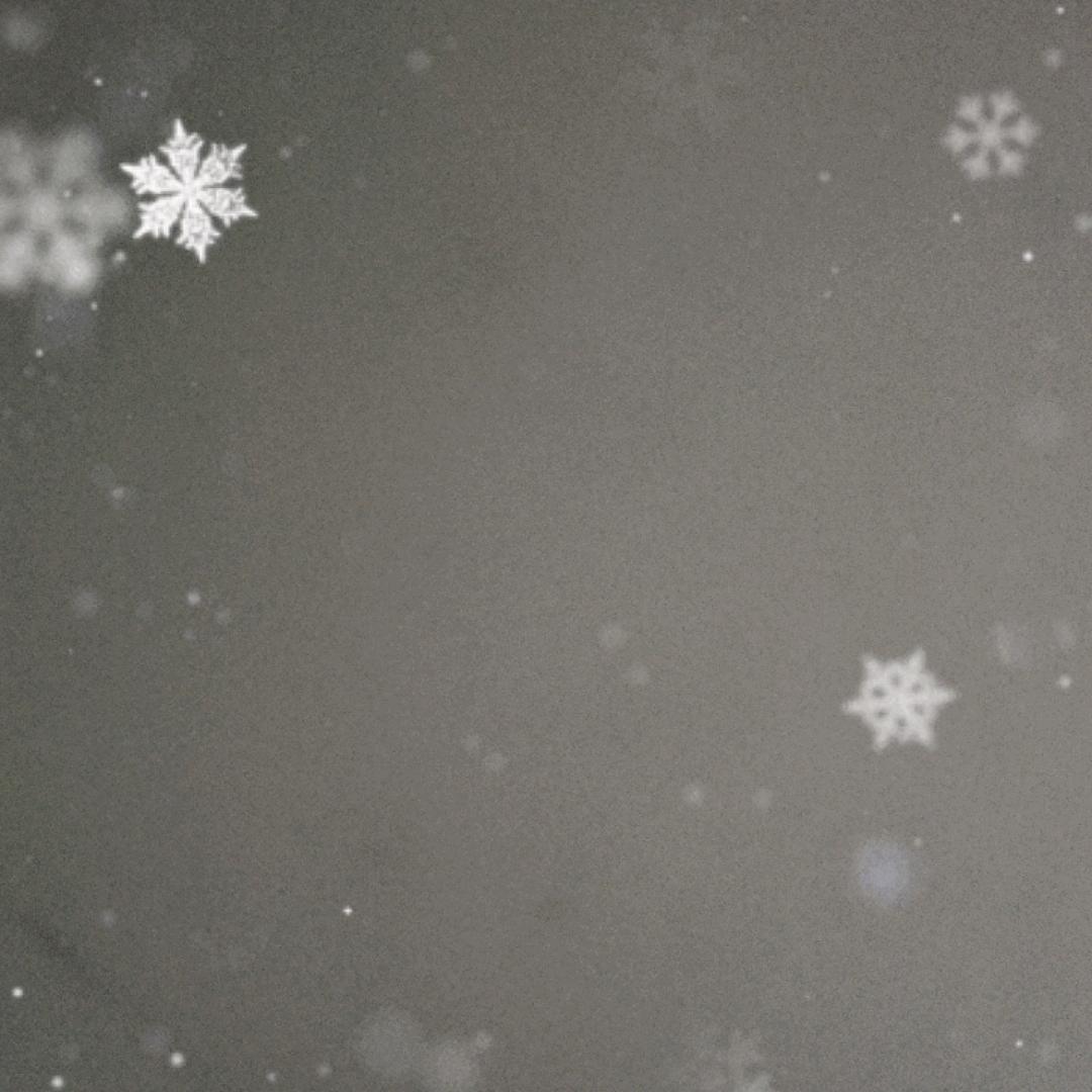 人生