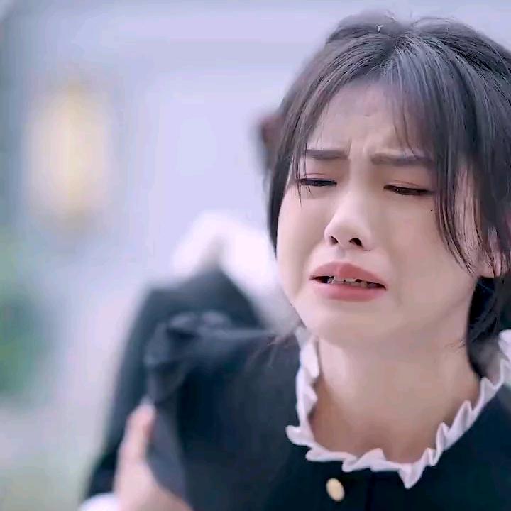 呼哈追剧