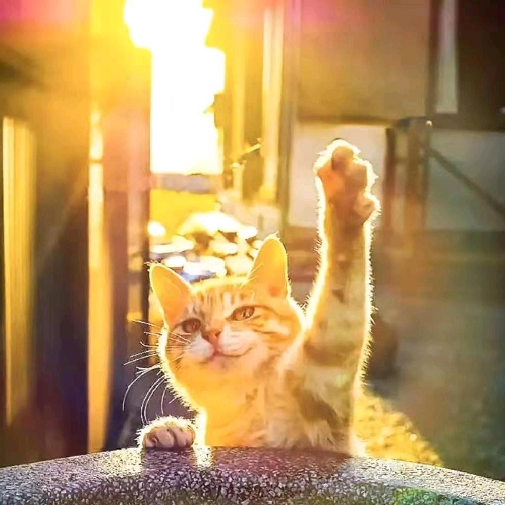 欥