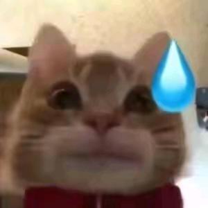 汪汪汪