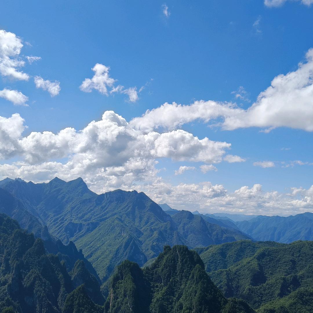 小保保