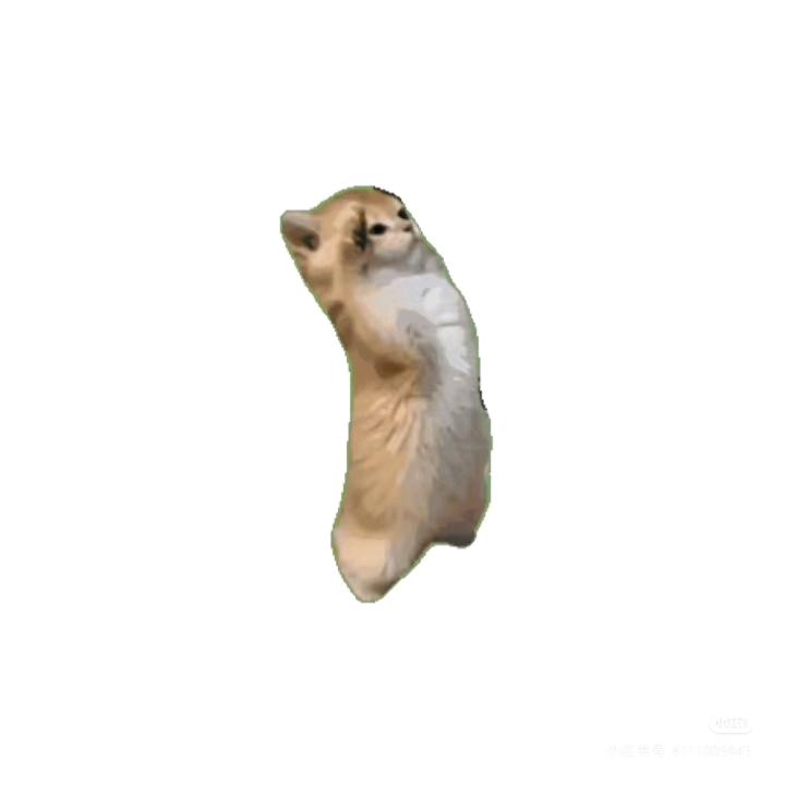lee3ee