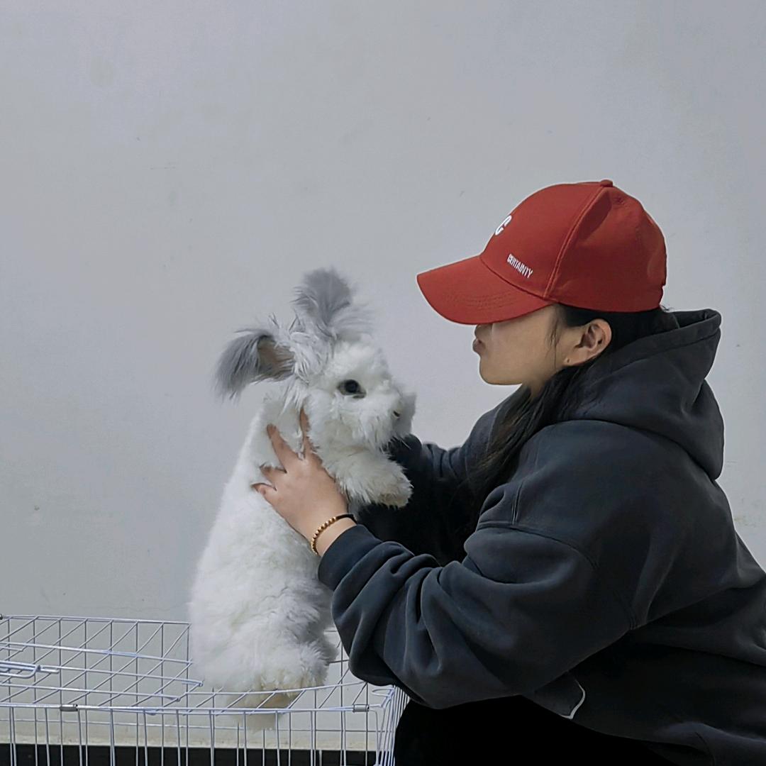 乐悠萌宠🐰