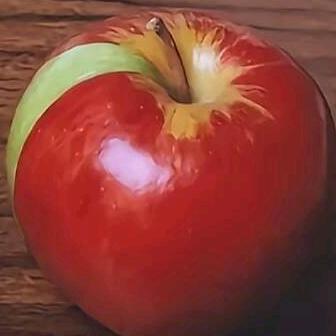 失歌sugar（我克夫