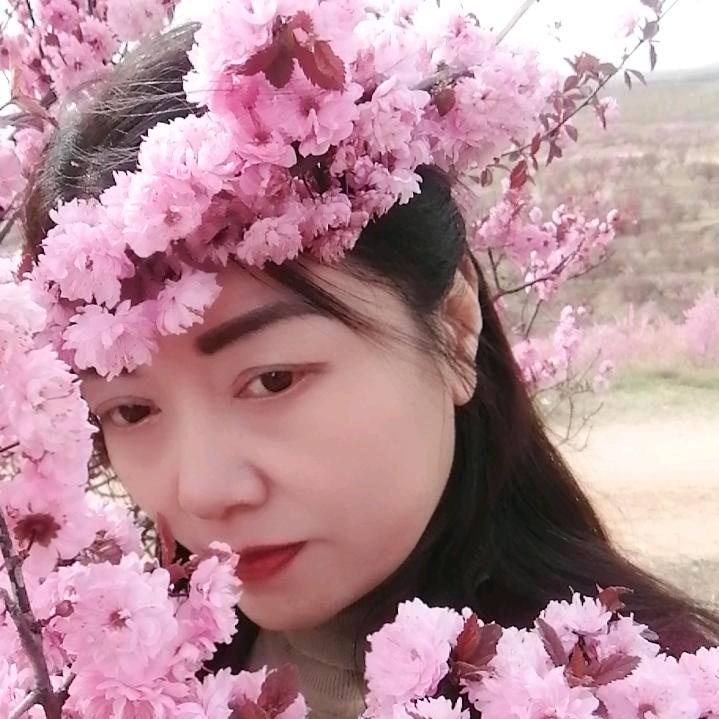 佛莲花