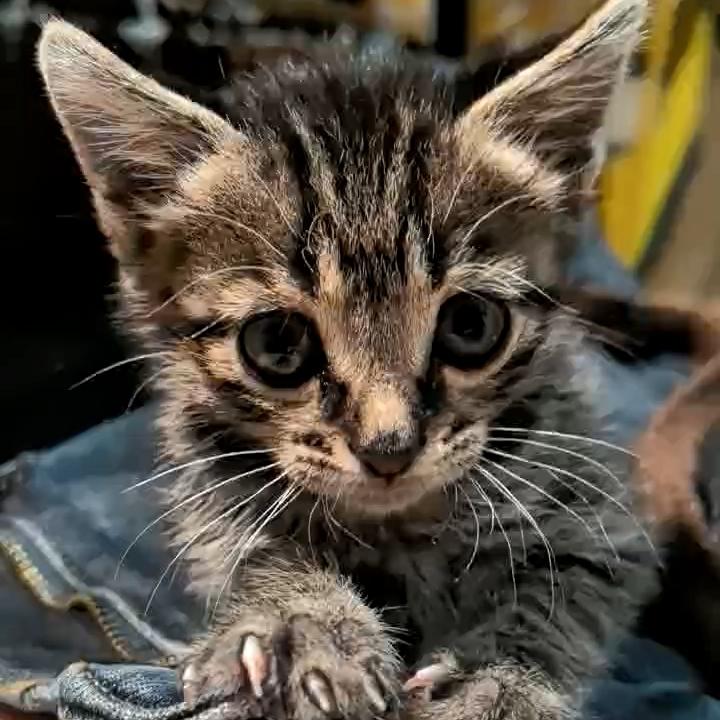 实名上网的徐先森