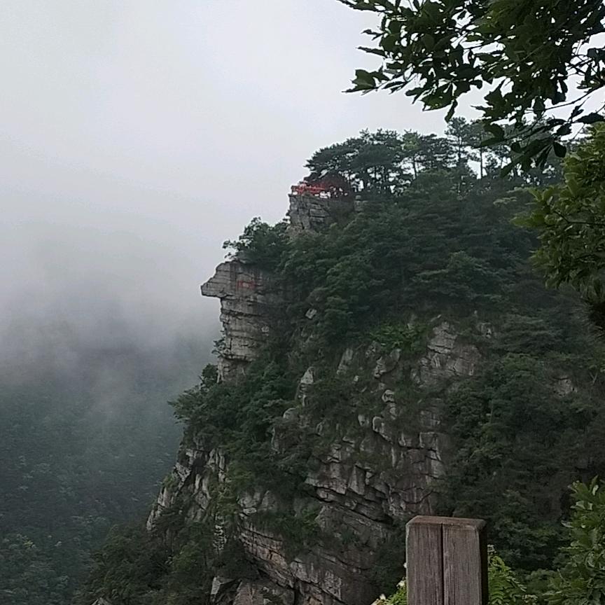 期盼春天