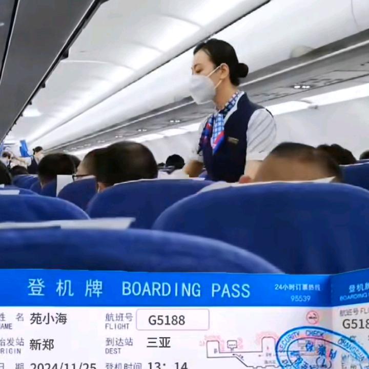 幸福的猪