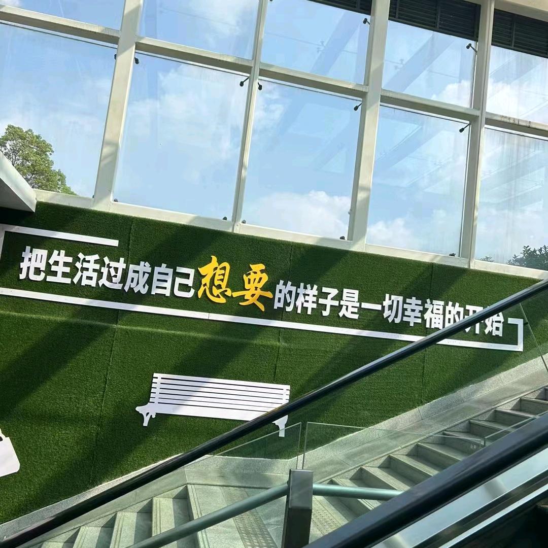 女子无情便是王