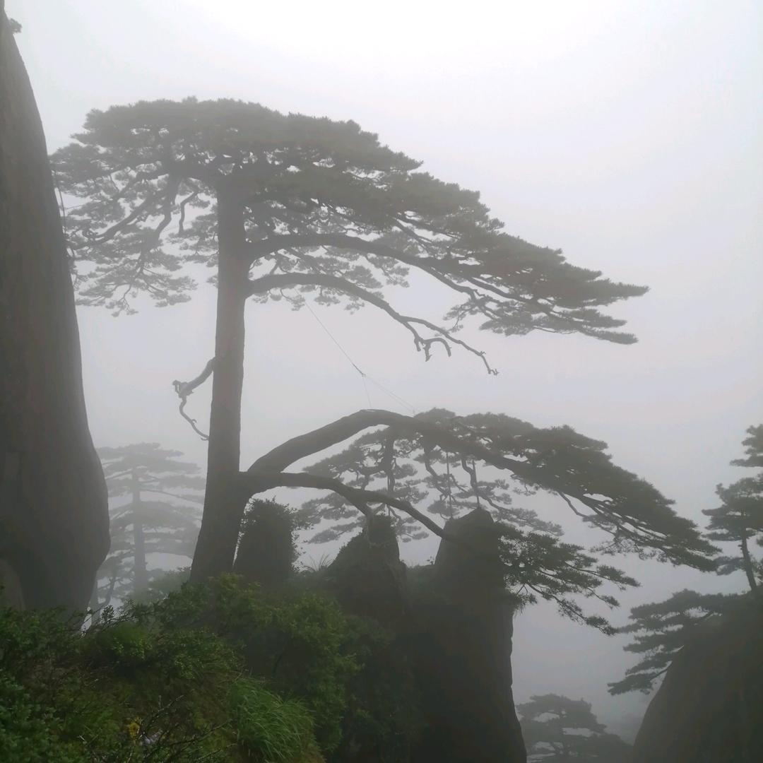 那年一路向北