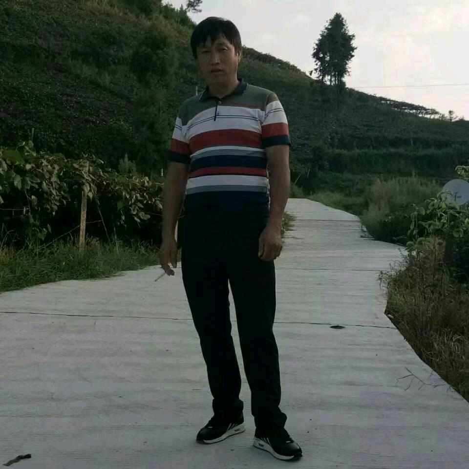 杨过